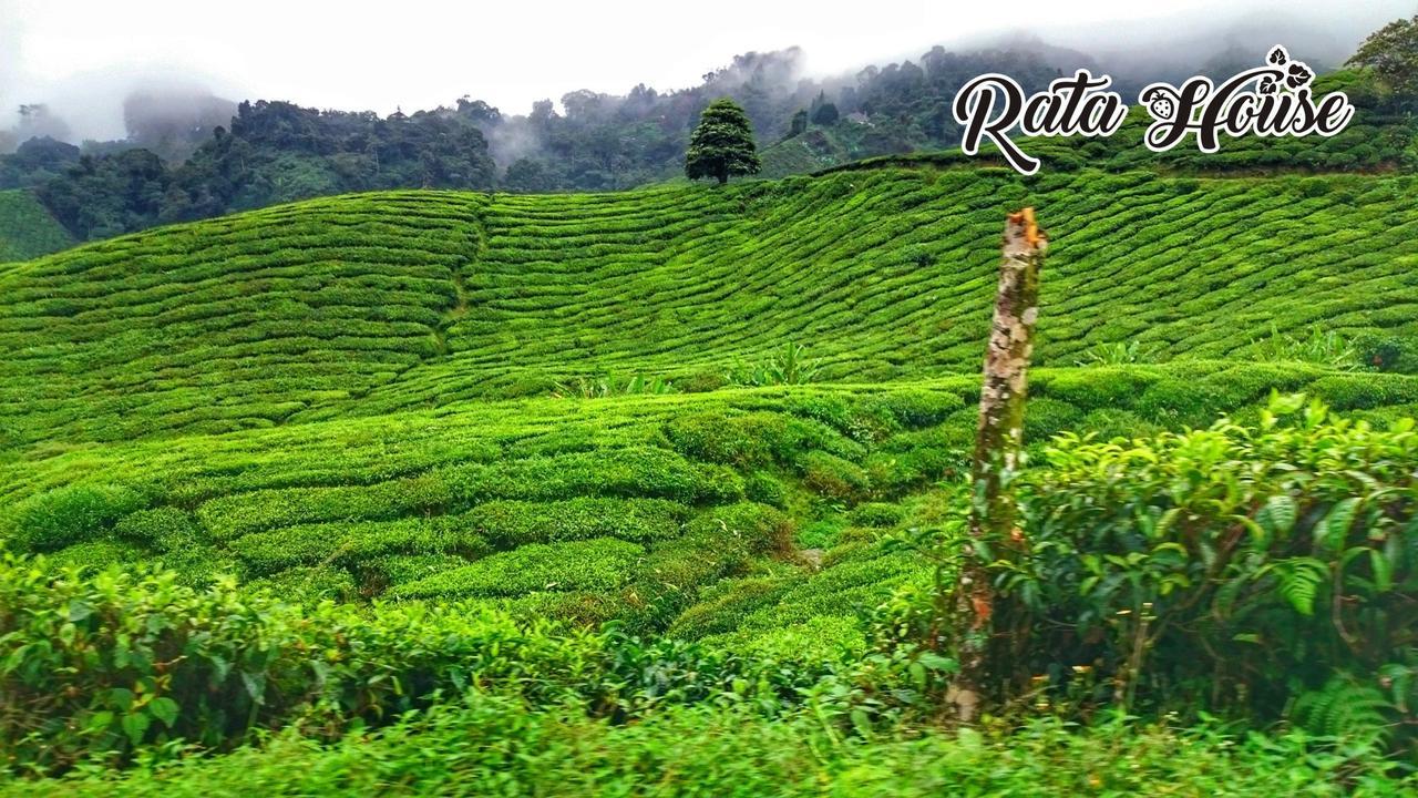 Rata House Pangsapuri *